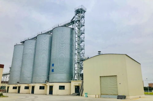 西麥食品集團宿遷生產基地竣工投產，攜手濟南建筑設計院共繪健康產業新藍圖